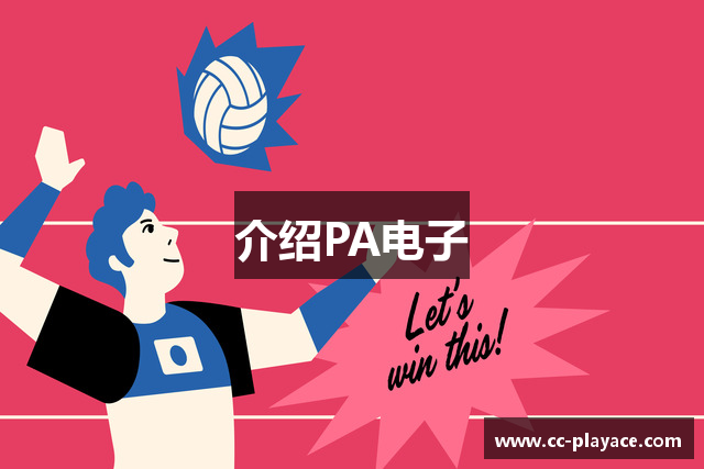 介绍PA电子